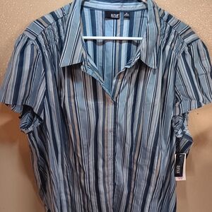a.n.a Blue Striped Casual Button Down Shirt Size 3x